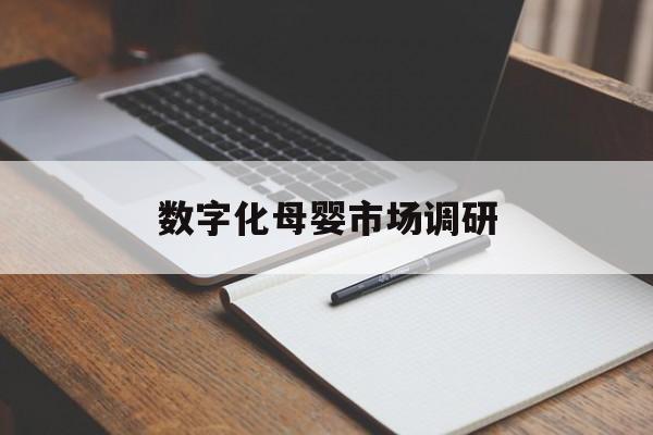 汕头市数字化母婴市场调研(数字化母婴市场调研报告)